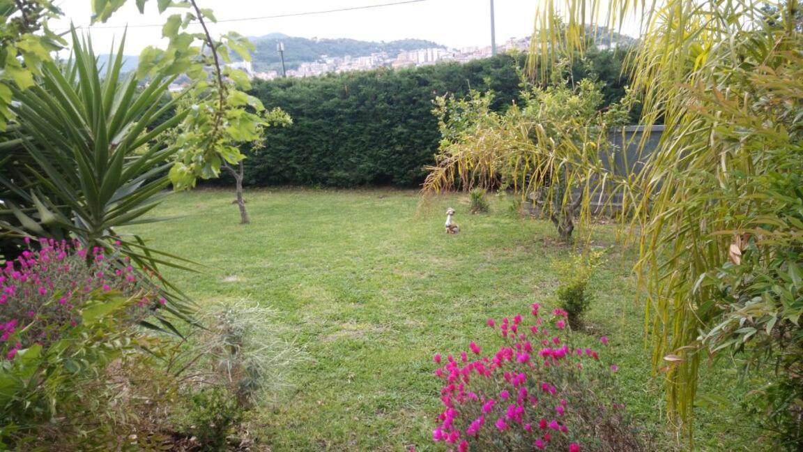 Bed and Breakfast Costa Blu Agropoli Exterior foto